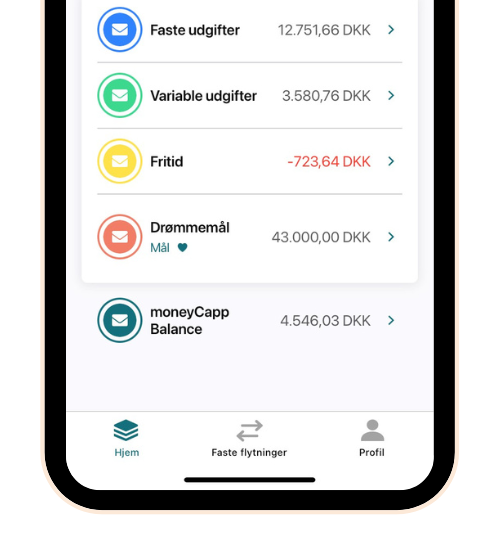 Screenshot: overview of spending in moneyCapp